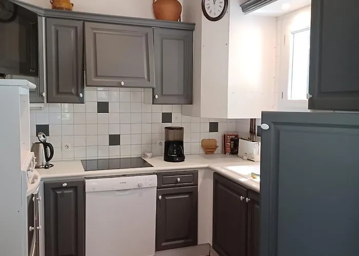 Sur Grand Jardin Arbore A 2kms De La Villa Saint-Palais-sur-Mer